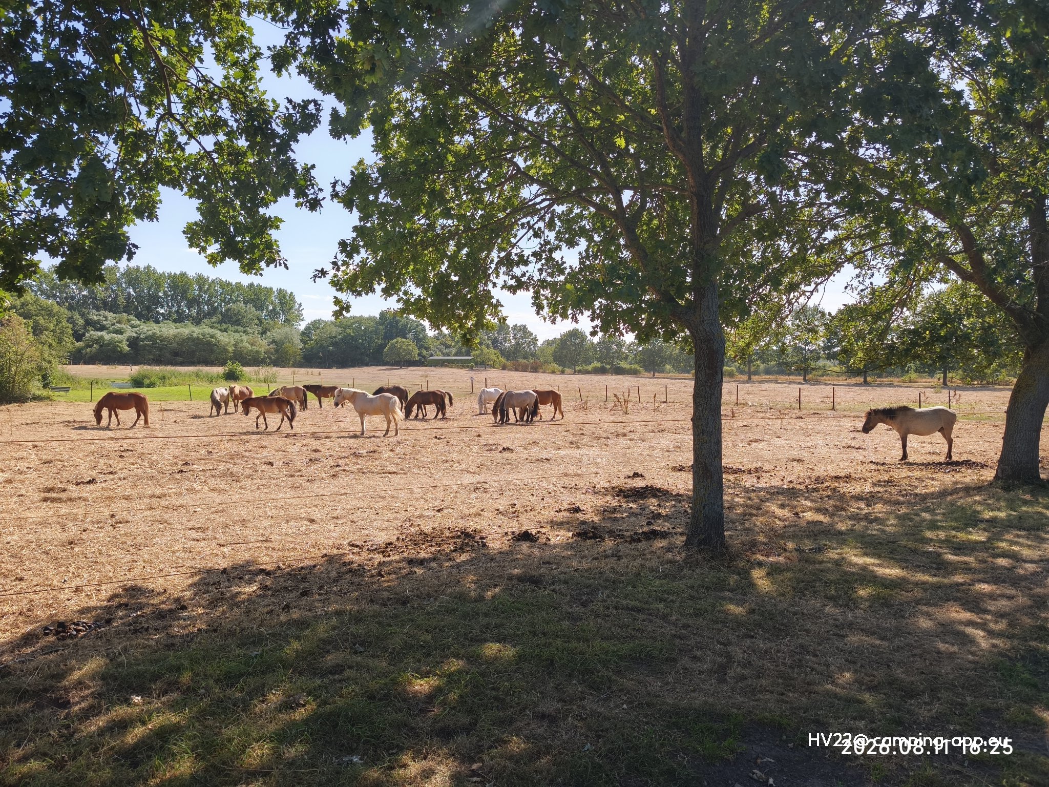 Stellplatz Marina Mehlbergen Balge — Foto 3