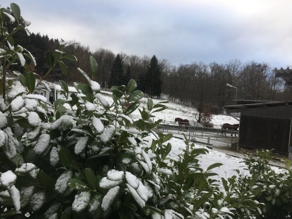 Stellplatz am Wielandshof Wilnsdorf — Photo 4