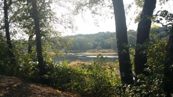 Stellplatz an der Marina Coswig — Photo 4