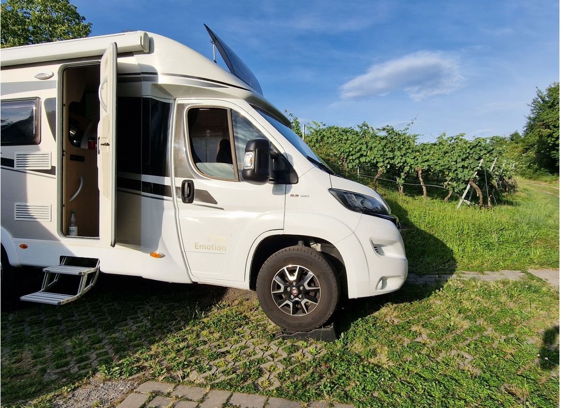 Stellplatz am Weingut Auerberg Nordheim — Vinícola in Nordheim