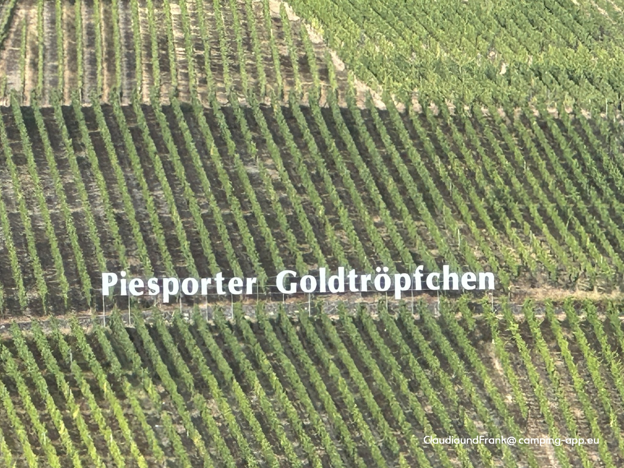 Stellplatz am Weingut Kirsten Piesport — Foto 2