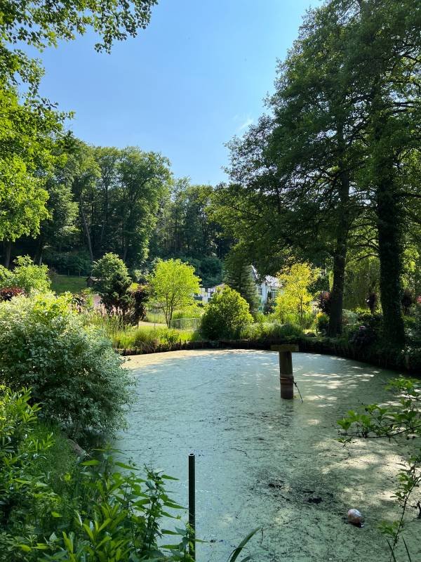 Stellplatz am Hotel Seeschloss Lanke — Zdjęcie 2