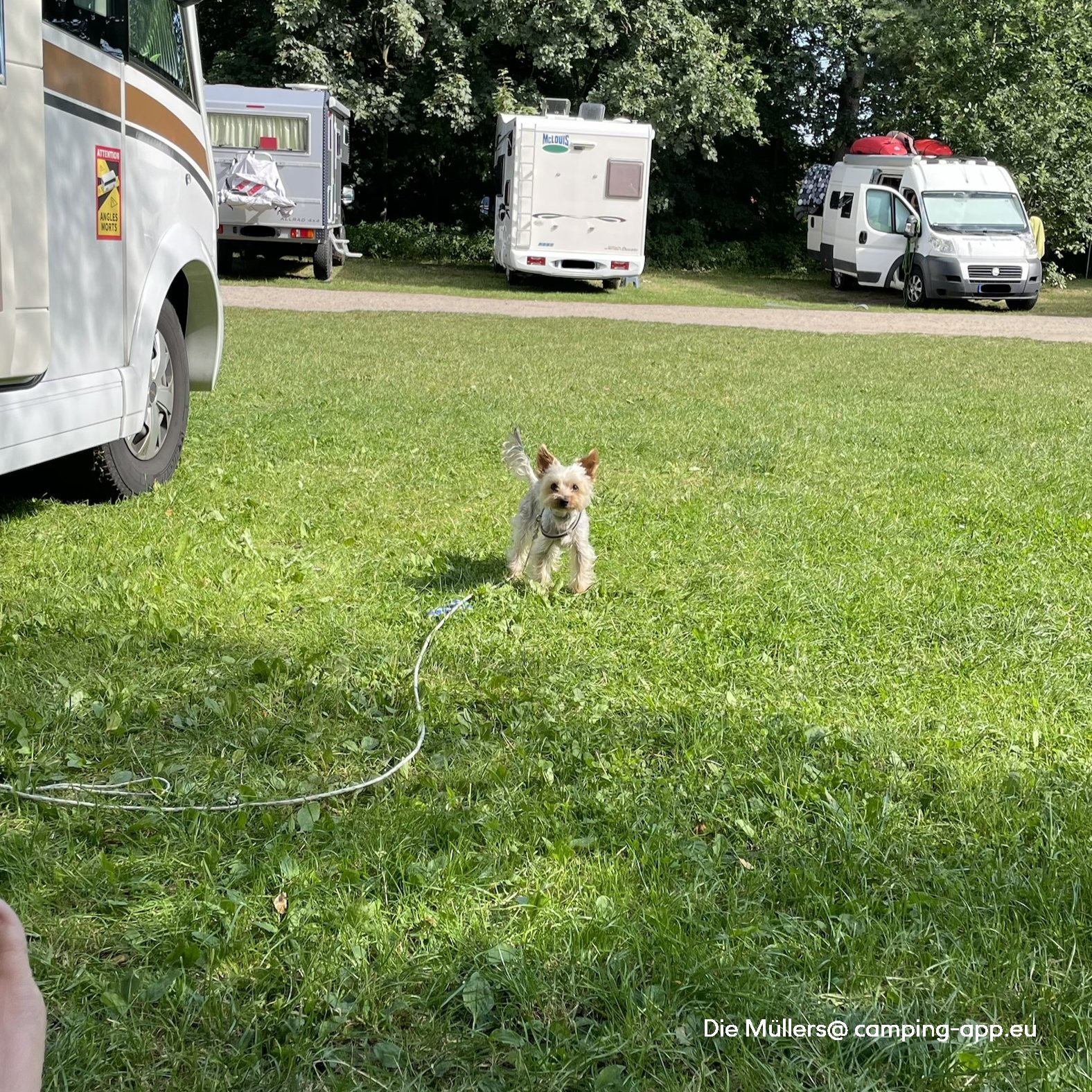 Stellplatz am Quellenbad Schneverdingen — Foto 2