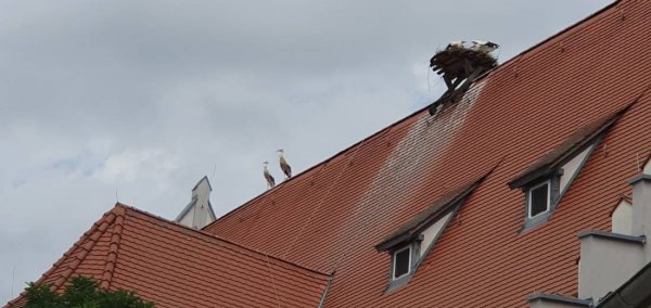 Stellplatz Biberach — Photo 4