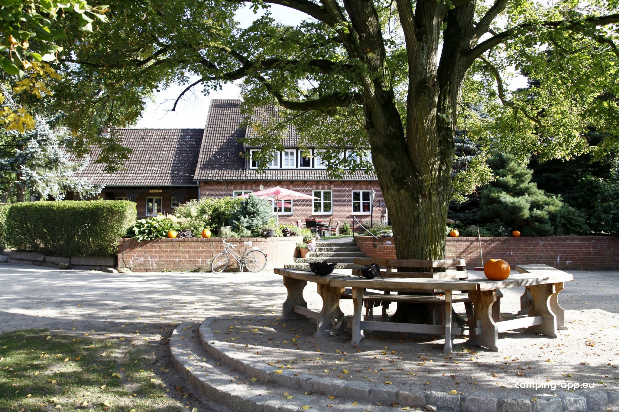 Reiter- und Ferienhof Cohrs — Photo 2