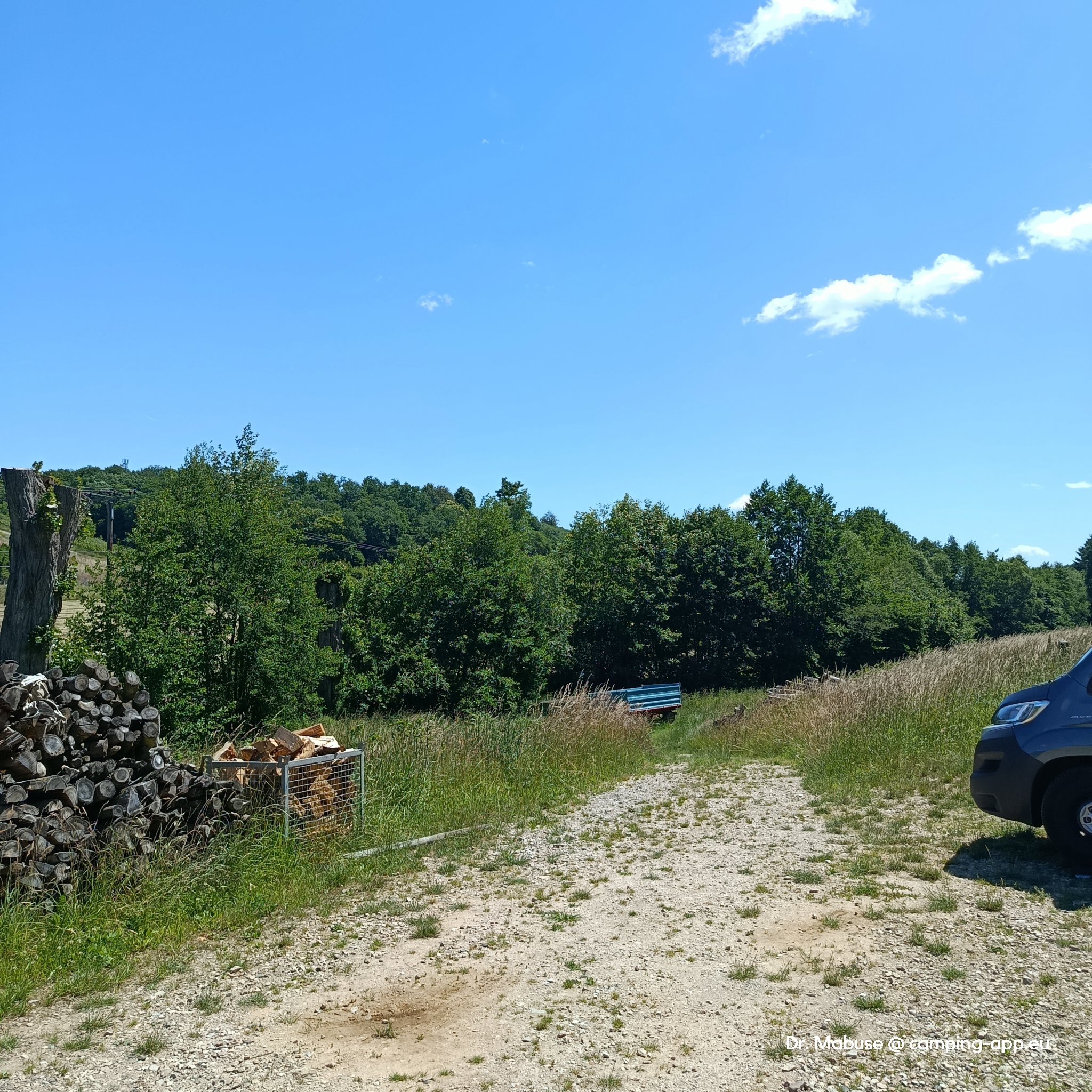 Stellplatz am Weingut Ostermühle Geisenheim — Foto 5