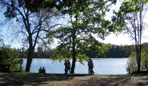 Stellplatz Waitzinger Wiese — Camperplads in Landsberg am Lech