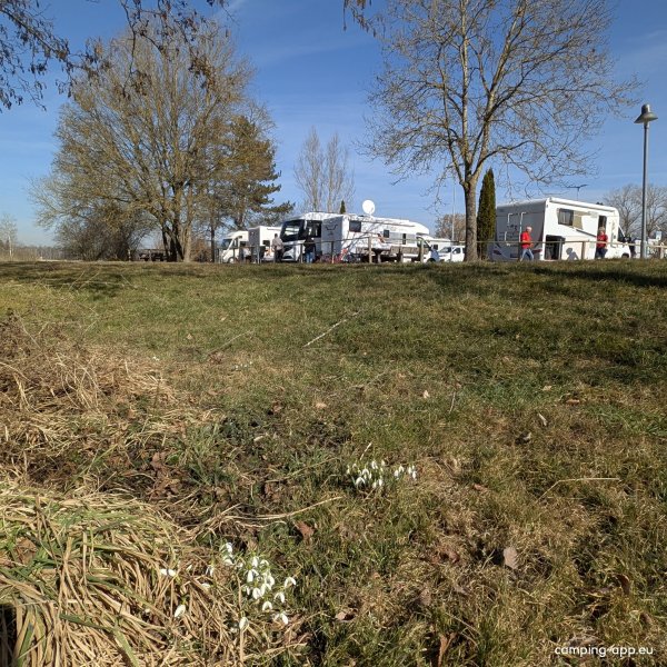 Stellplatz am Kurpark Bad Buchau — Photo 4