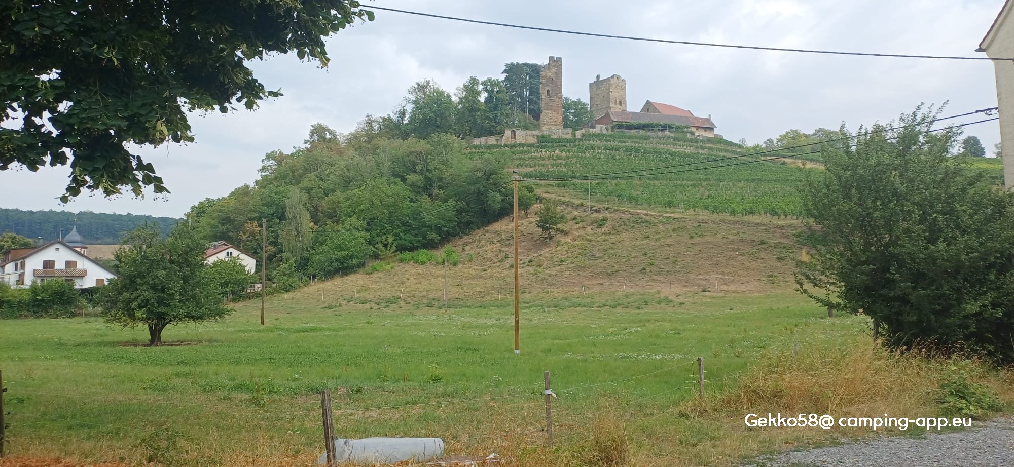 Stellplatz beim Weingut Echle Brackenheim — Fotografie 2