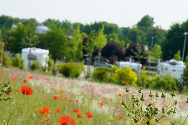 Stellplatz Vita Classica Bad Krozingen — Campervan Site in Bad Krozingen-Bad Krozingen (Kernstadt)