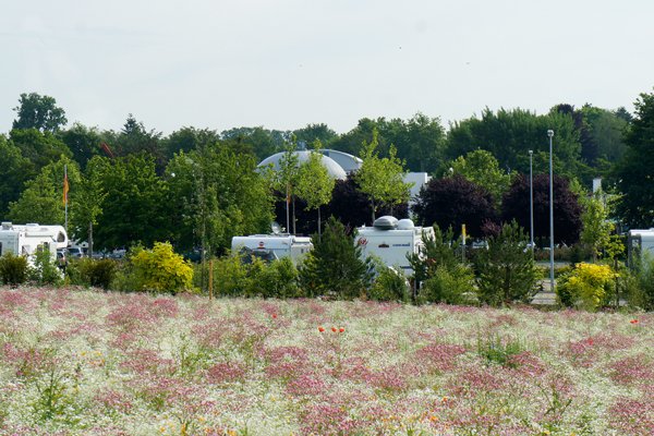 Stellplatz Vita Classica Bad Krozingen — Photo 3