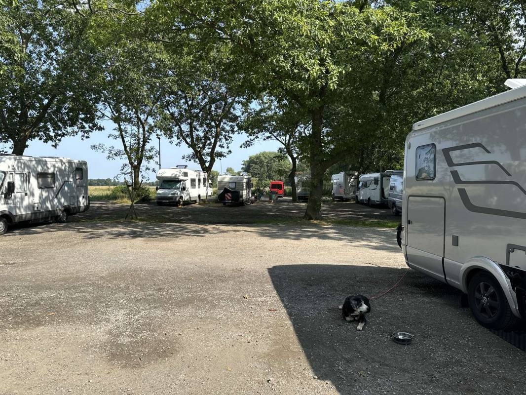 Schomakers Fischbude — Campervan Site in Damme