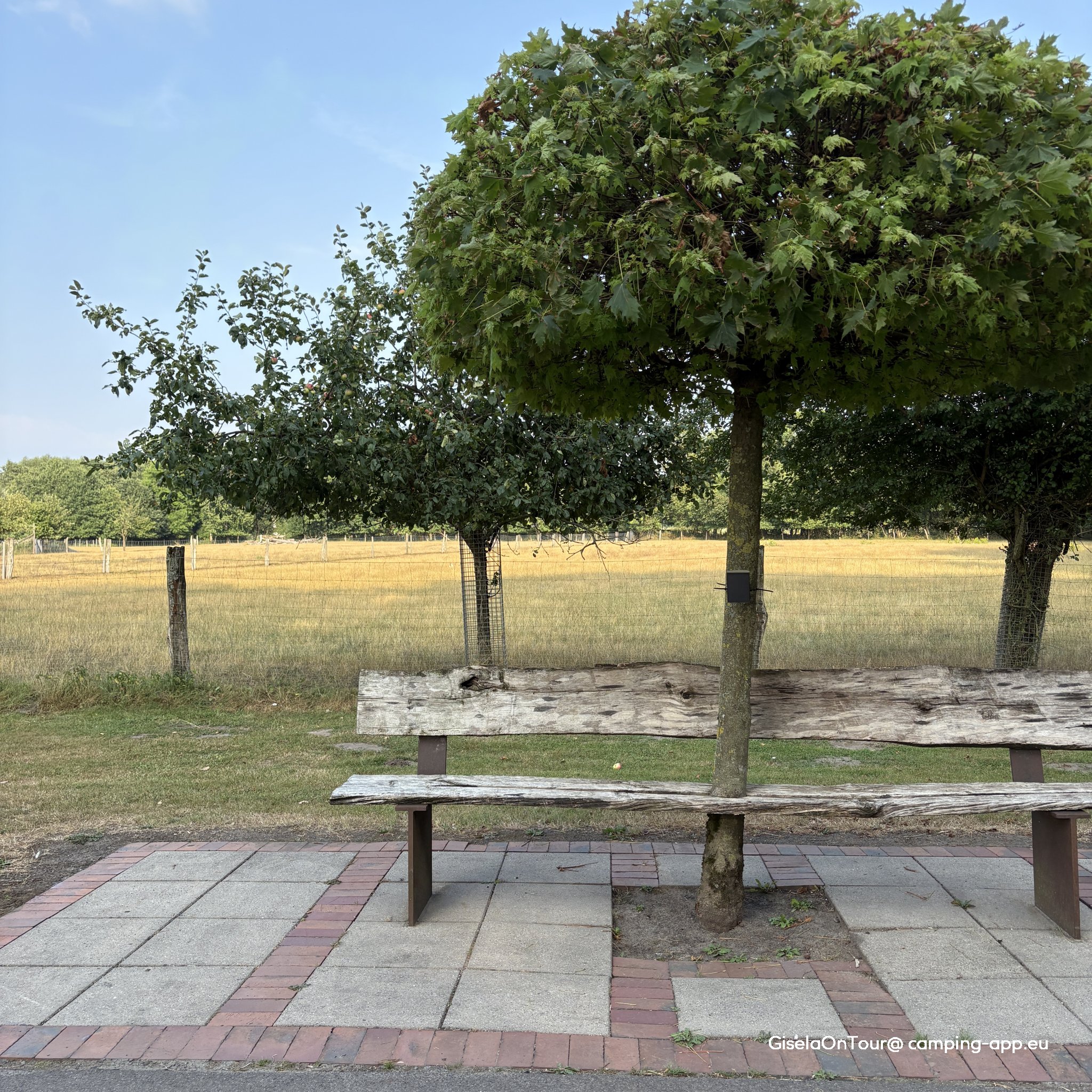 Stellplatz am Erholungsgebiet Waldvelen Velen — Foto 2