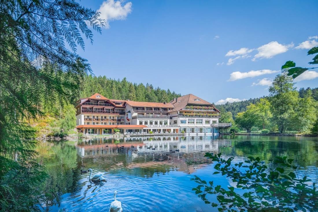 Hotel Langenwaldsee Freudenstadt — V restauraci in Freudenstadt
