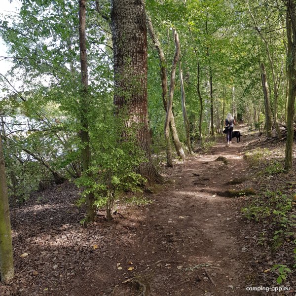 Stellplatz am Wassersportsee Zülpich — Foto 3