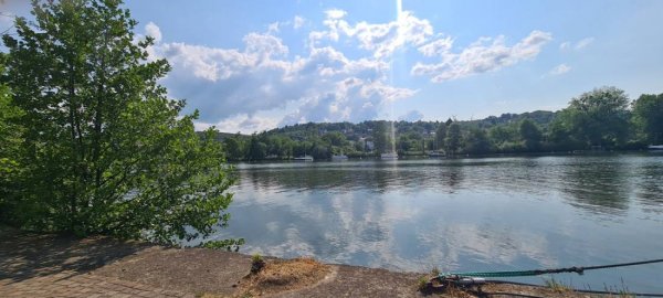 Stellplatz Veitshöchheim — Photo 6