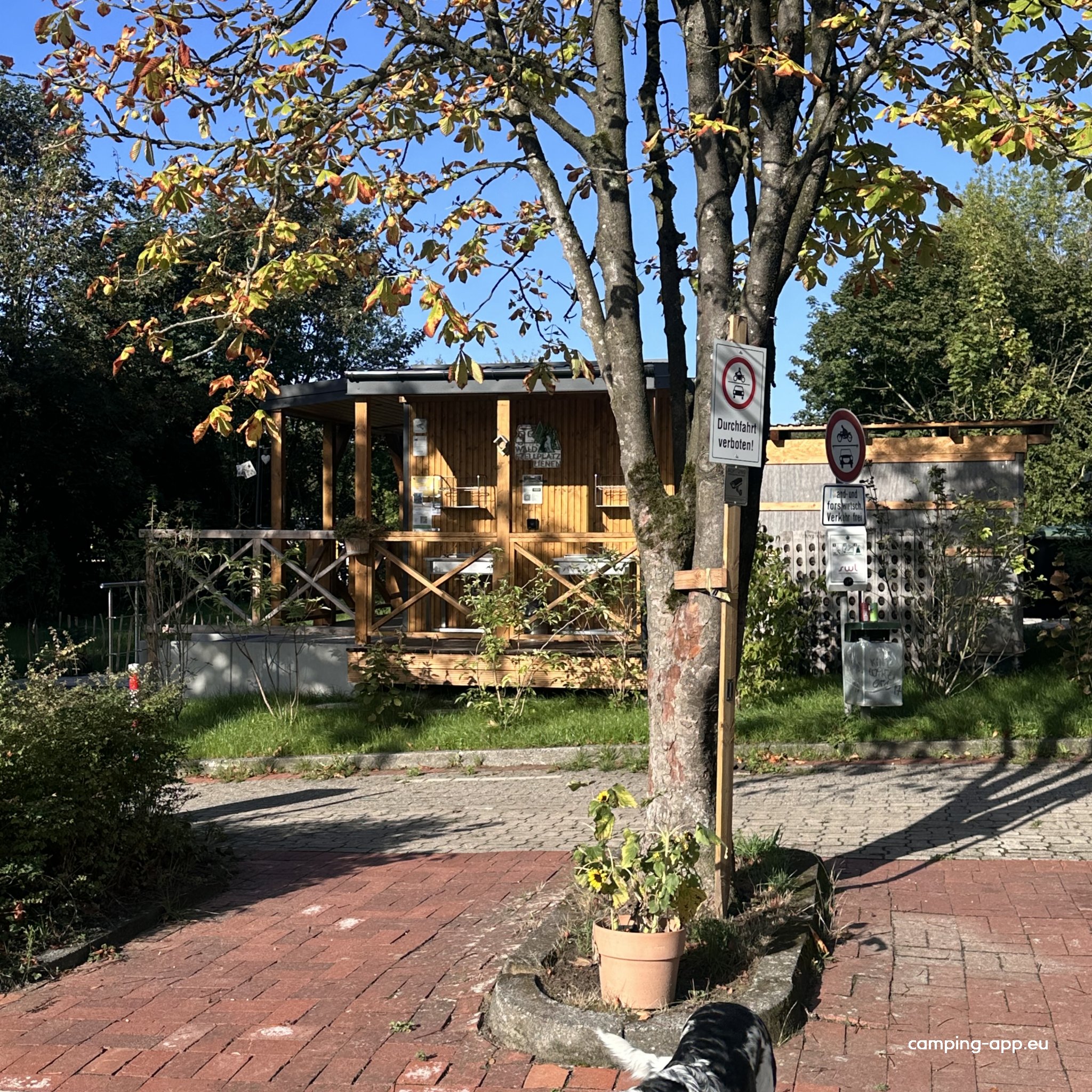 Waldstellplatz Lienen — Fotografie 3