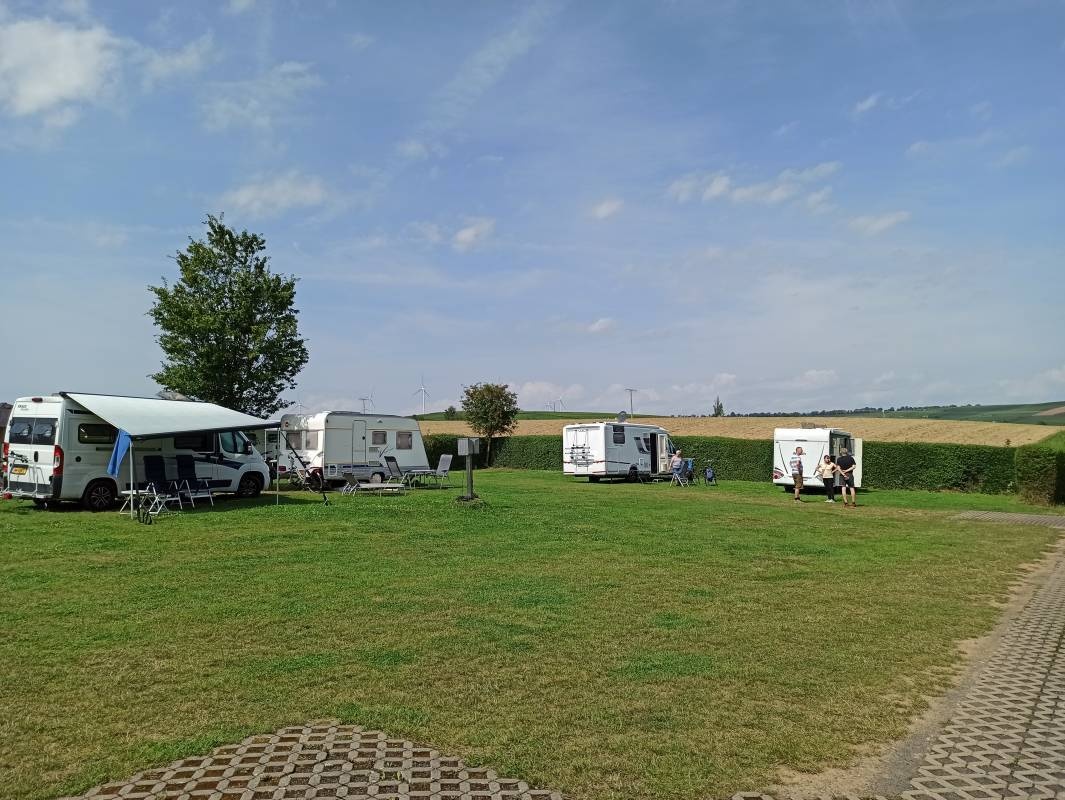 Camping auf dem Gutenbornerhof - Weingut Born — Weingut in Alzey-Weinheim