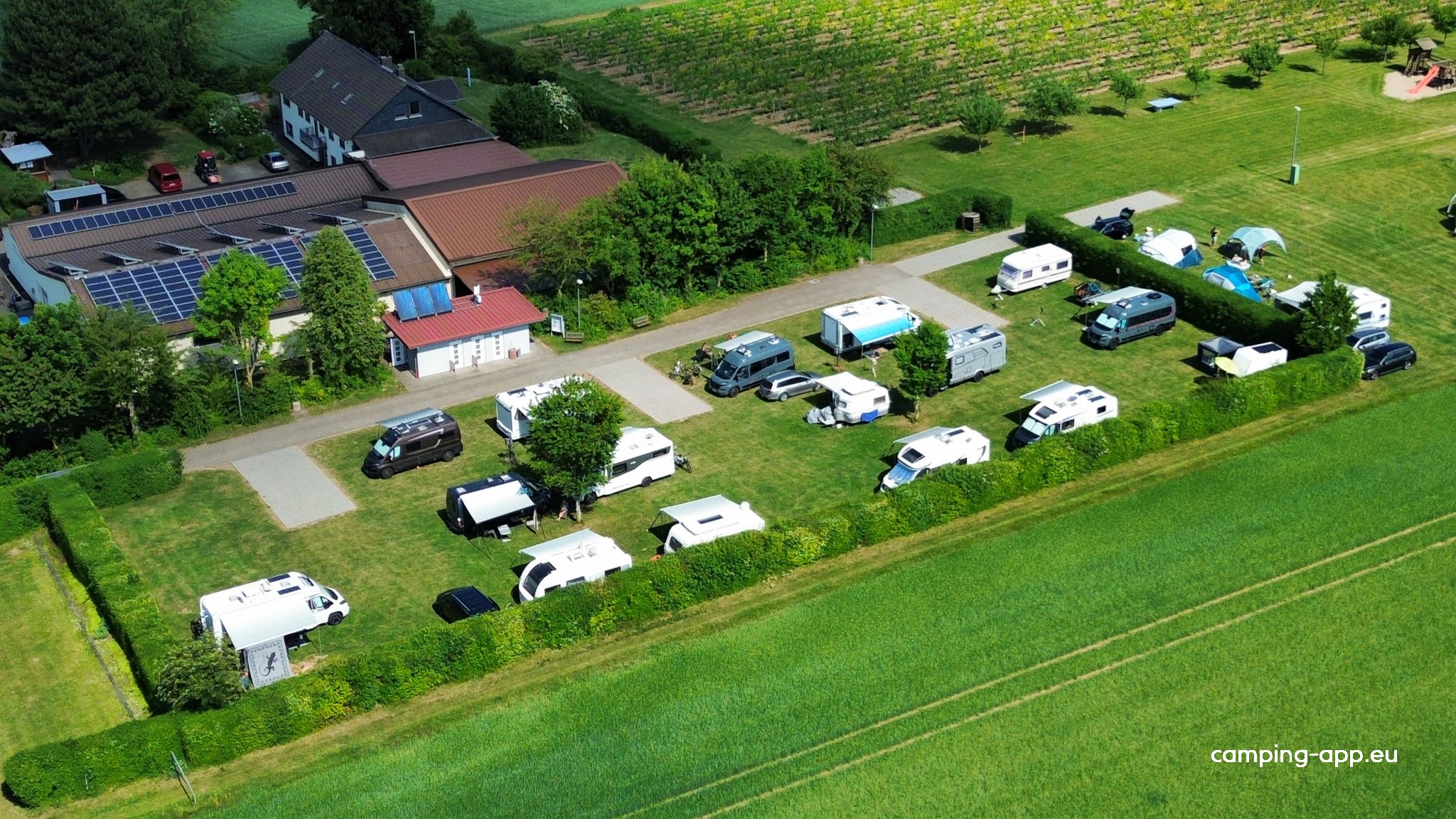 Camping auf dem Gutenbornerhof - Weingut Born — Vineri in Alzey-Weinheim