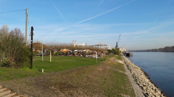 (geschlossen ab 19.4.26) Stellplatz am Rhein Worms — Photo 3