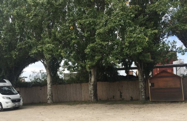 (geschlossen ab 19.4.26) Stellplatz am Rhein Worms — Photo 6