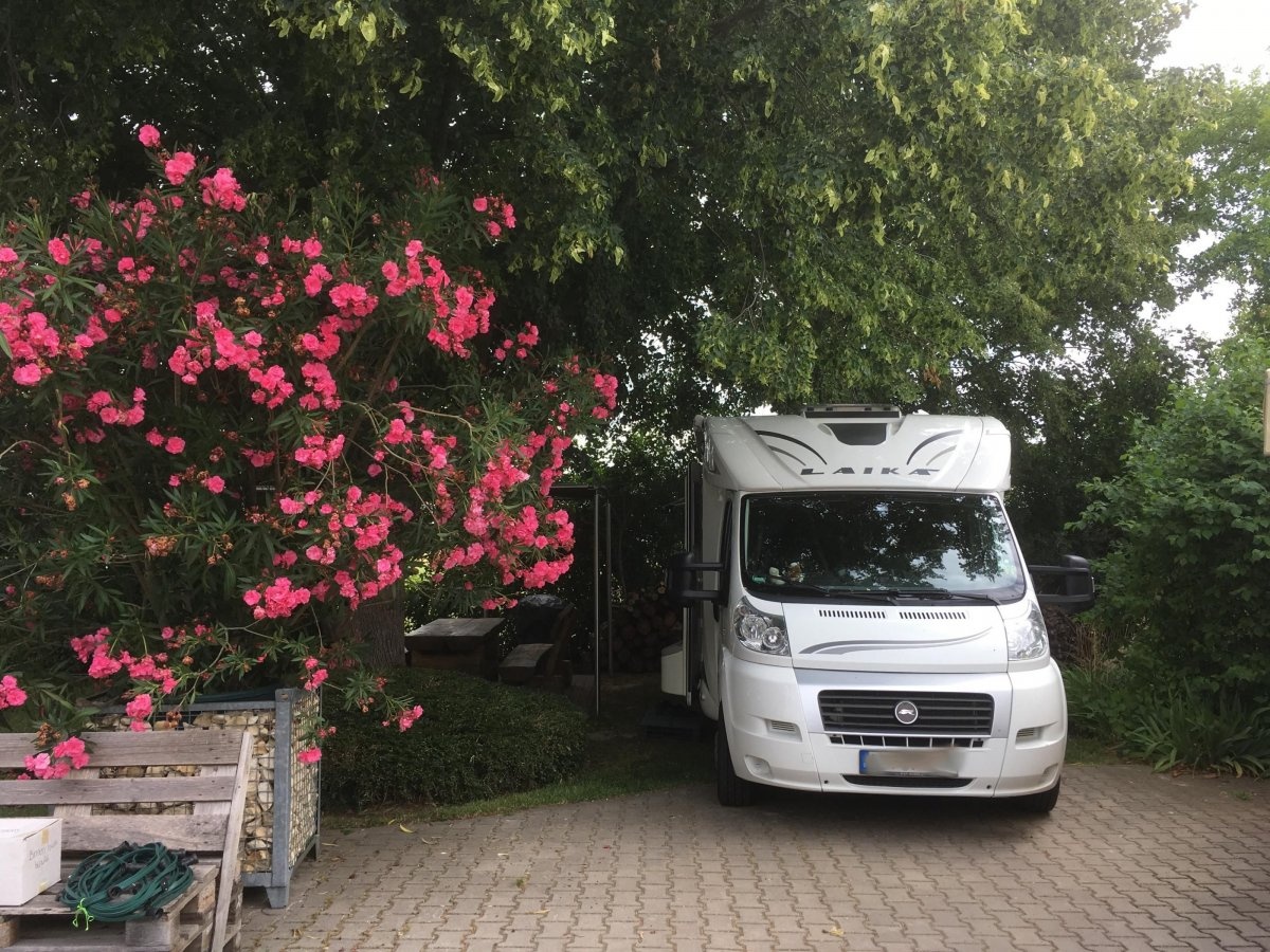 Stellplatz Borntaler Hof Osthofen — Winery in Osthofen