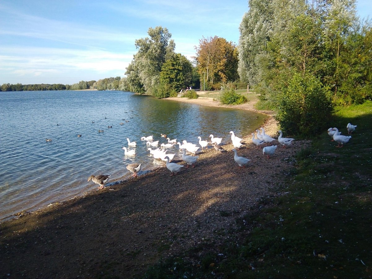 Stellplatz am Lago Laprello Heinsberg — Karavan Sitesi in Heinsberg