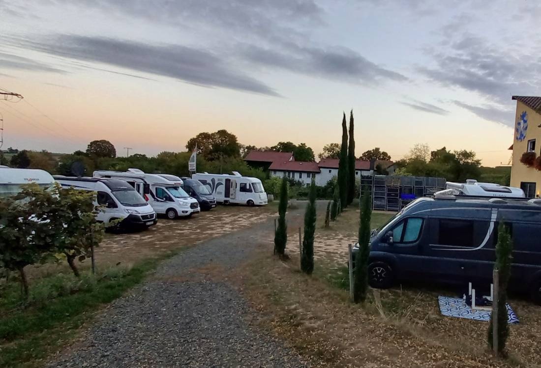 Übernachtungsparkplatz Weingut Benß Bockenheim — Vinařství in Bockenheim an der Weinstraße