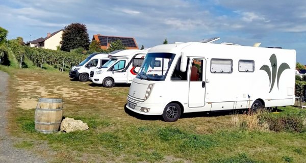 Übernachtungsparkplatz Weingut Benß Bockenheim — Fotografie 4