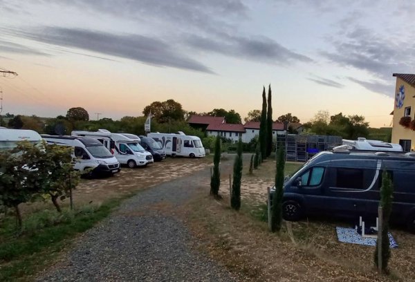 Übernachtungsparkplatz Weingut Benß Bockenheim