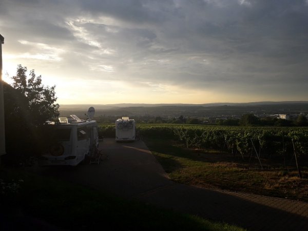 Stellpaltz am Weingut Desoi — Photo 3