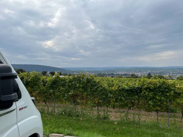 Stellpaltz am Weingut Desoi — Photo 6