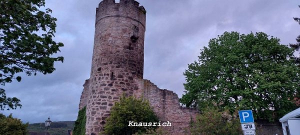 Stellplatz Witzenhausen — Photo 5