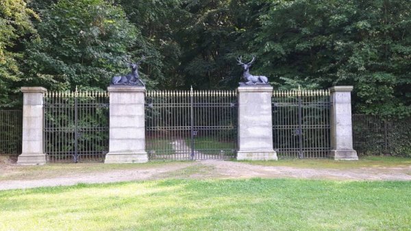 Reisemobilstellplatz Stadthafen Neustrelitz — Photo 4