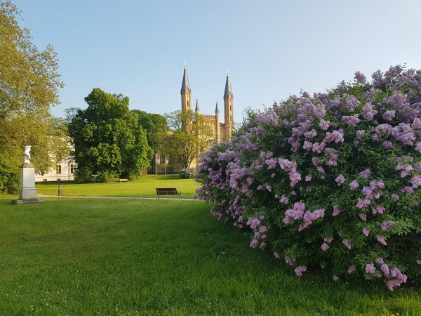 Reisemobilstellplatz Stadthafen Neustrelitz — Photo 6