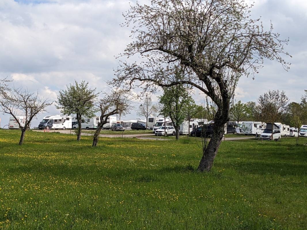 Stellplatz  Wildparadies Tripsdrill — Camperplaats in Cleebronn