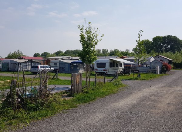 Inselcamping Kollersee — Photo 6