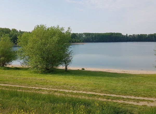 Inselcamping Kollersee (max. 4,5t) — Foto 4