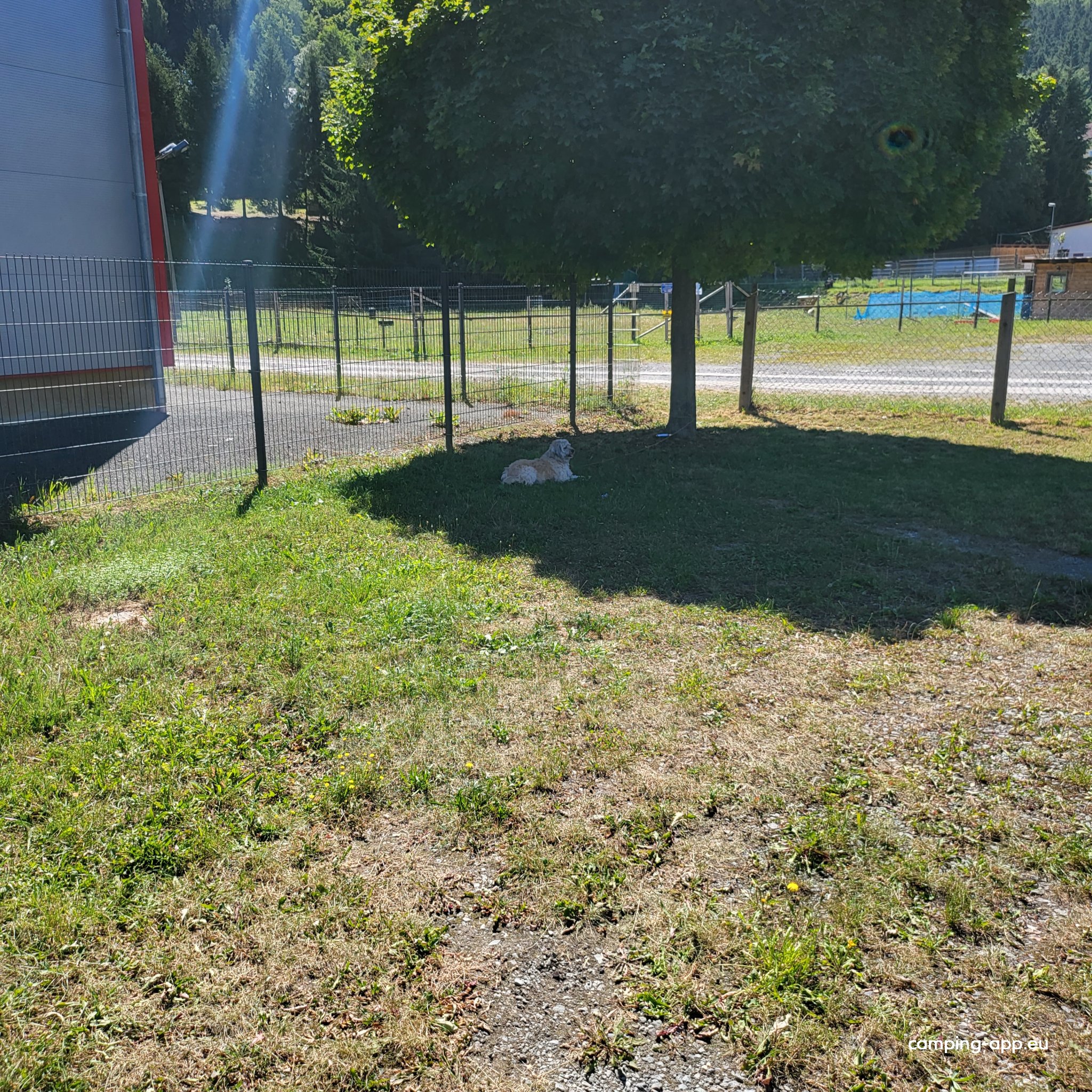 Stellplatz Elsterberg — Photo 4