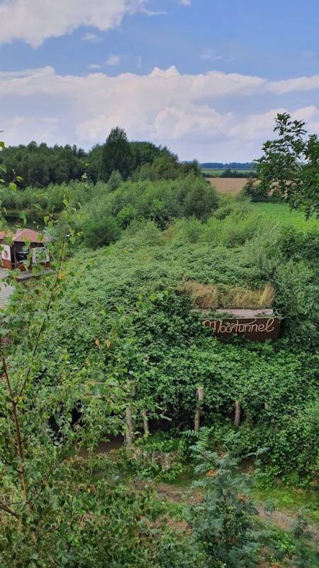 Stellplatz  Goldenstedter Moor