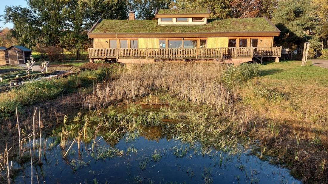 Stellplatz  Goldenstedter Moor — Camperplaats in Goldenstedt