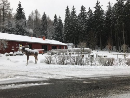 Stellplatz Harz-Camping — QuickStop in Elend