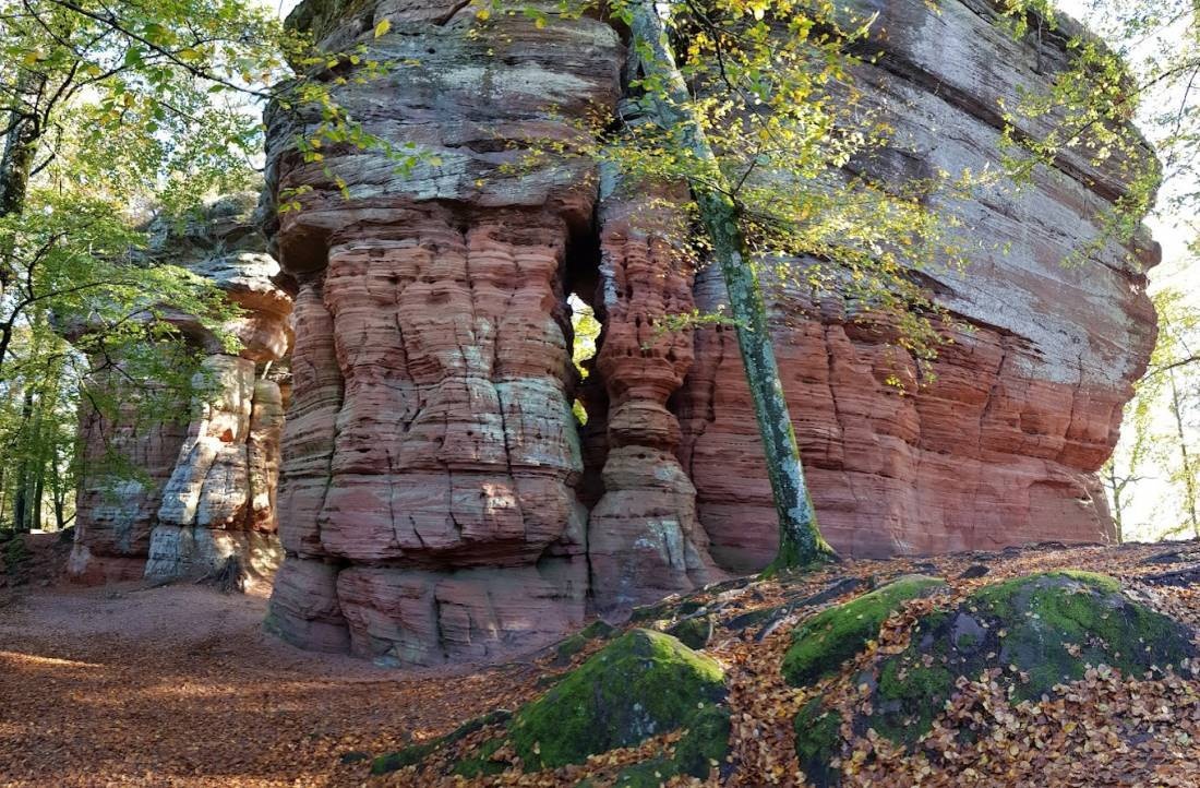 Stellplatz Neudorfstrasse — Campervan Site in Eppenbrunn