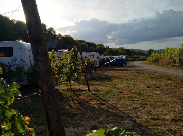 Stellplatz Weingut Von Nell — Photo 4