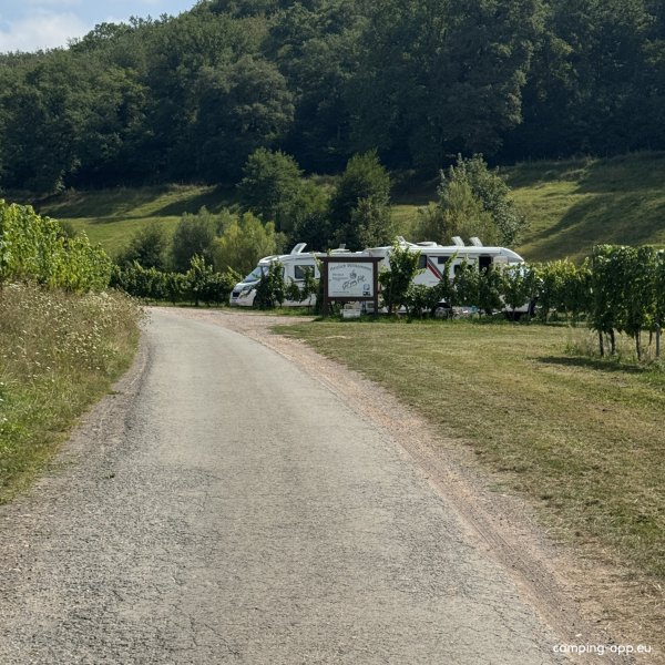 Stellplatz Weingut Von Nell — Foto 4