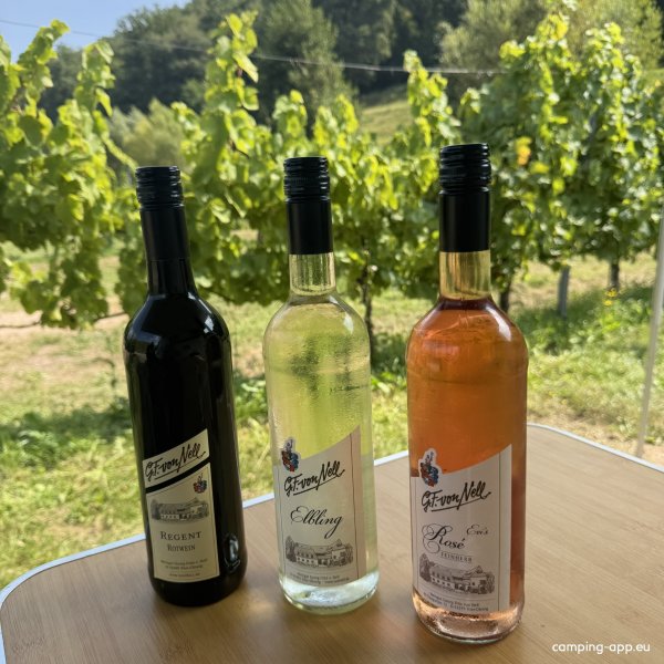 Stellplatz Weingut Von Nell — Foto 3
