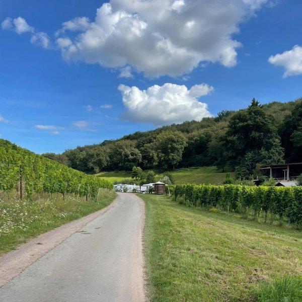 Stellplatz Weingut Von Nell — Foto 6