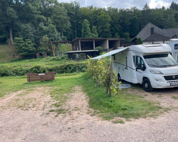 Stellplatz Weingut Von Nell — Foto 5