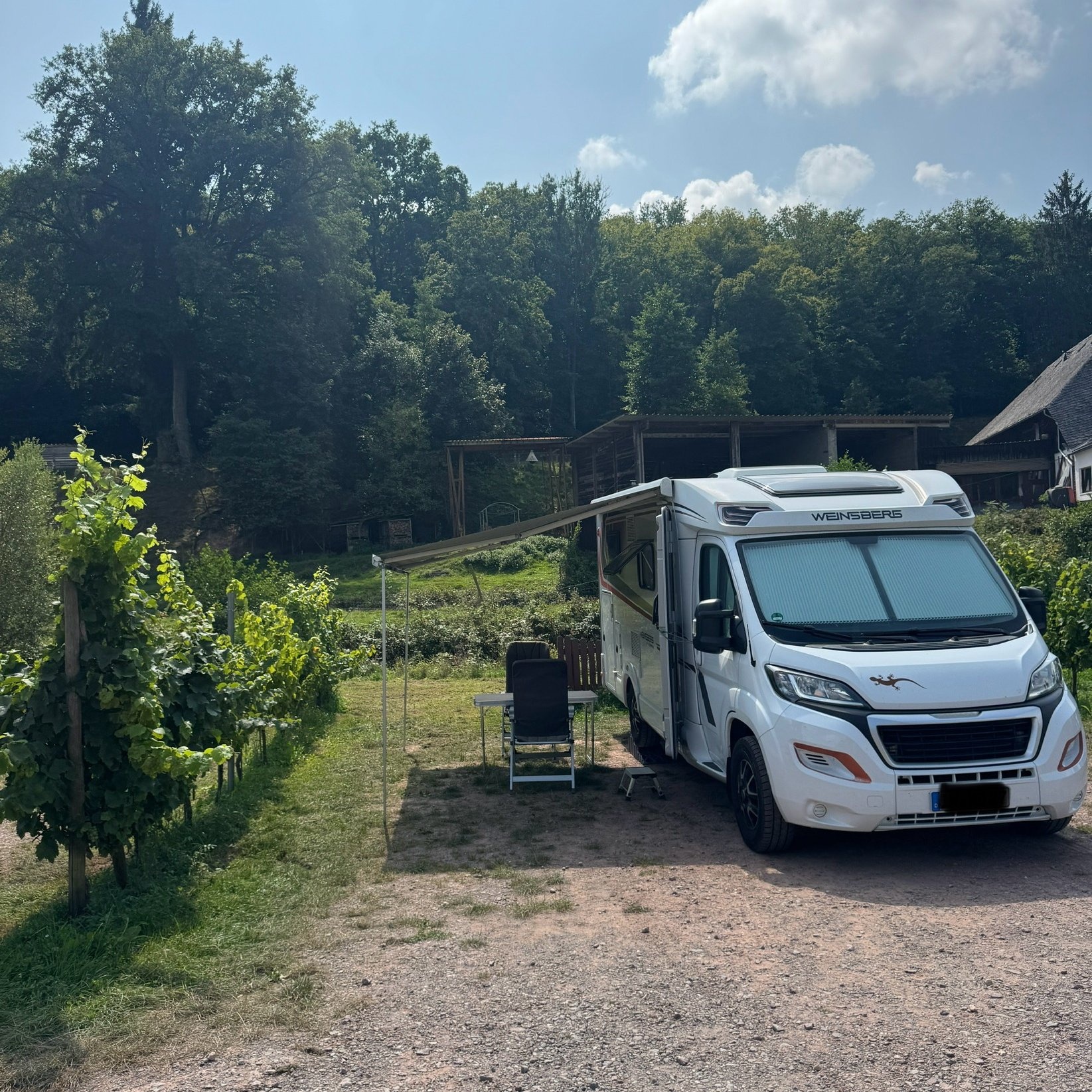 Stellplatz Weingut Von Nell — Vingård in TR