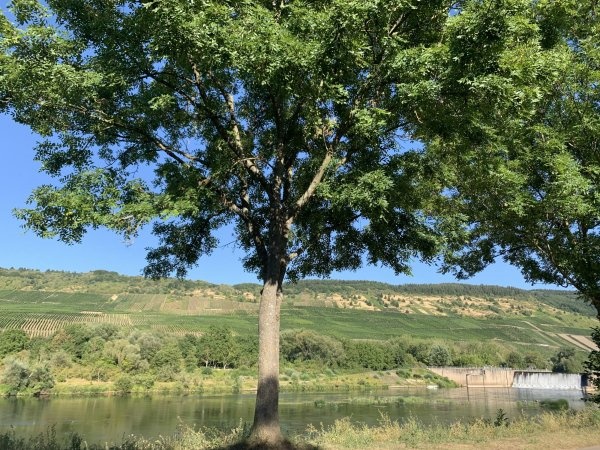 Übernachtungsparkplatz Schleich — Місце для кемперів in Schleich